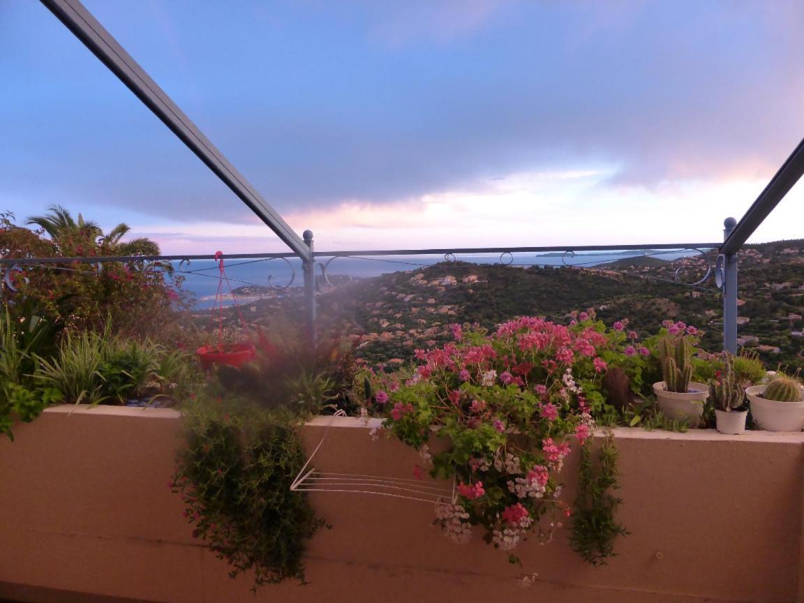 Nouveau ! Chambre D'Hote Insolite Privee " Coeurs De Pirates A Bali En Provence" Spa Sauna Massages Dans Cadre Exotique D'Amenagements Exterieurs D'Exception Ete Comme Hiver Bienvenue !!! Кавалере-сюр-Мер Екстериор снимка