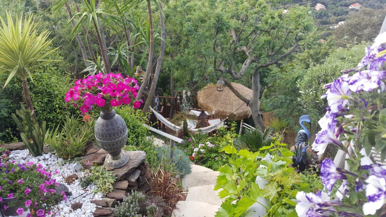 Nouveau ! Chambre D'Hote Insolite Privee " Coeurs De Pirates A Bali En Provence" Spa Sauna Massages Dans Cadre Exotique D'Amenagements Exterieurs D'Exception Ete Comme Hiver Bienvenue !!! Кавалере-сюр-Мер Екстериор снимка