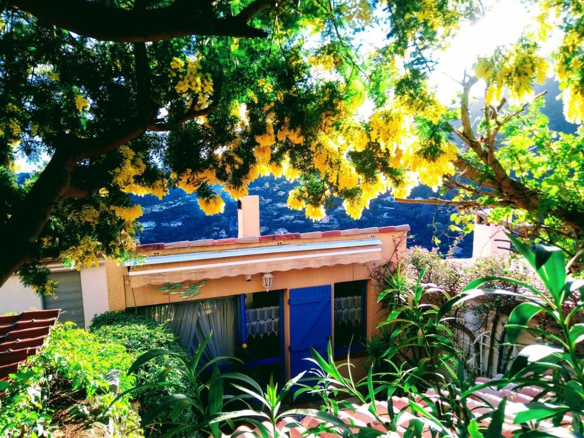 Nouveau ! Chambre D'Hote Insolite Privee " Coeurs De Pirates A Bali En Provence" Spa Sauna Massages Dans Cadre Exotique D'Amenagements Exterieurs D'Exception Ete Comme Hiver Bienvenue !!! Кавалере-сюр-Мер Екстериор снимка